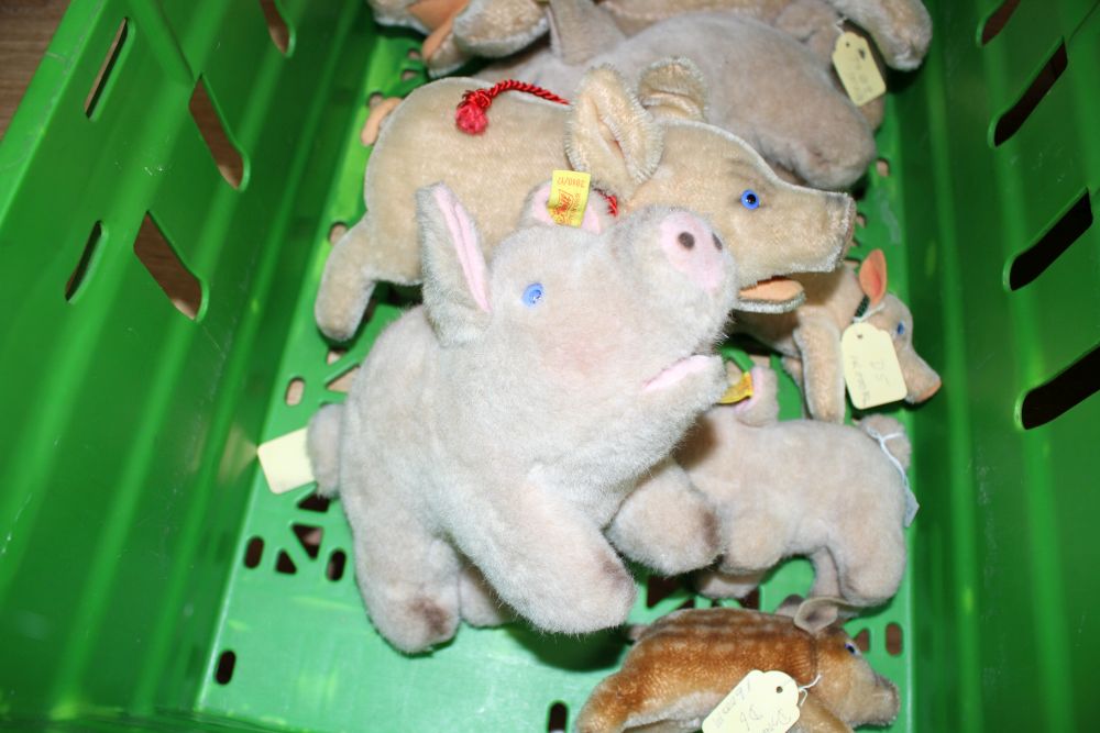 A group of assorted soft toy pigs including Steiff